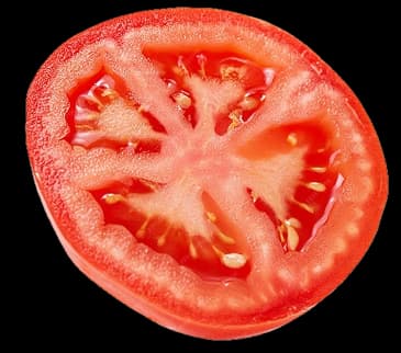 Juicy Tomatoes